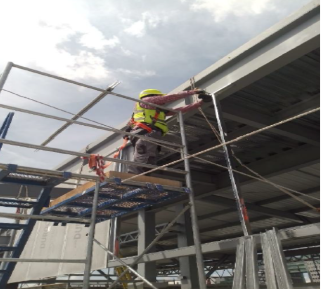 Proyecto nuevo8